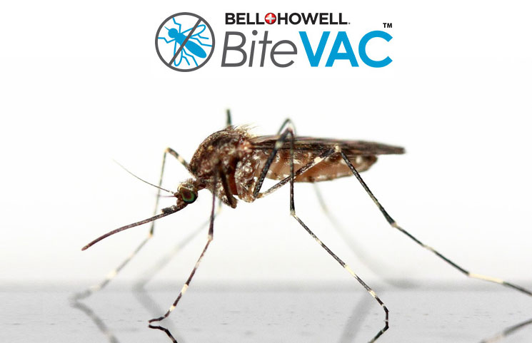 Bite VAC Review: Bell + Howell's Natural Bug Bite and Sting Itch Relief?