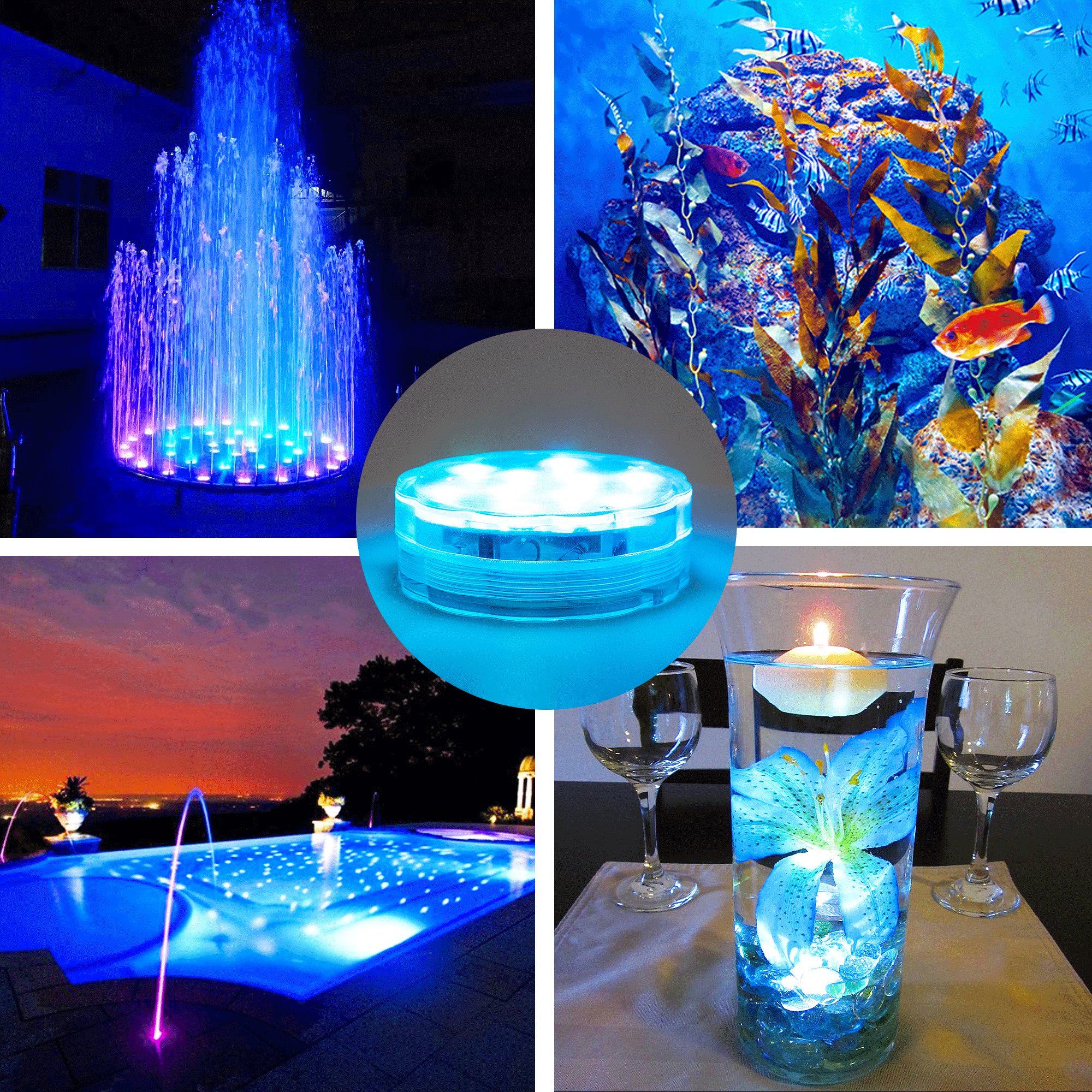 Boundery efx led lights hotsell