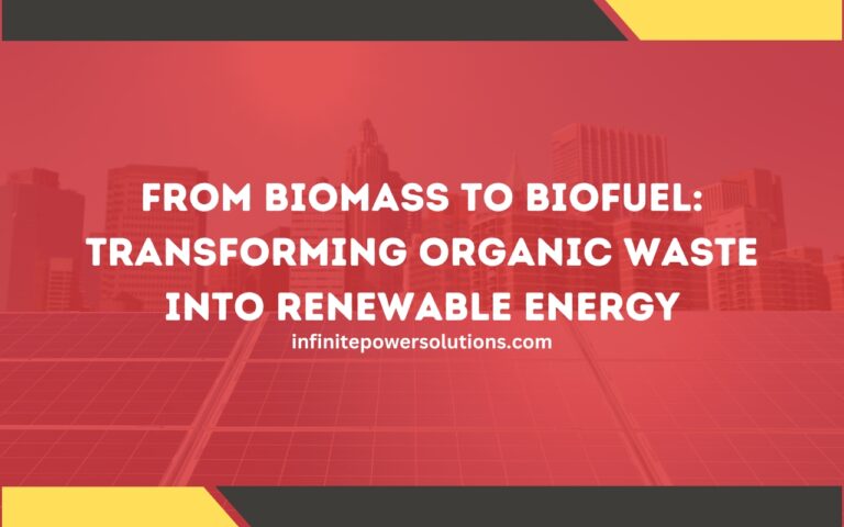 From Biomass to Biofuel: Transforming Organic Waste into Renewable Energy