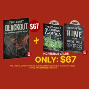 The Last Blackout