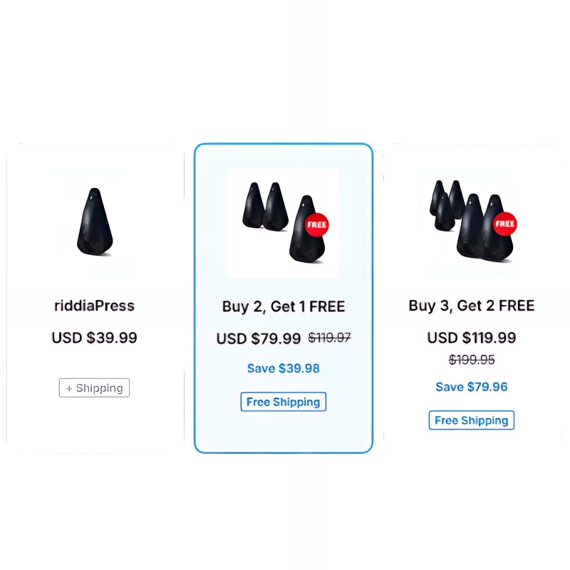 riddiaPress - Image 2